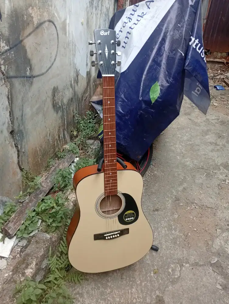 Gitar akustik new