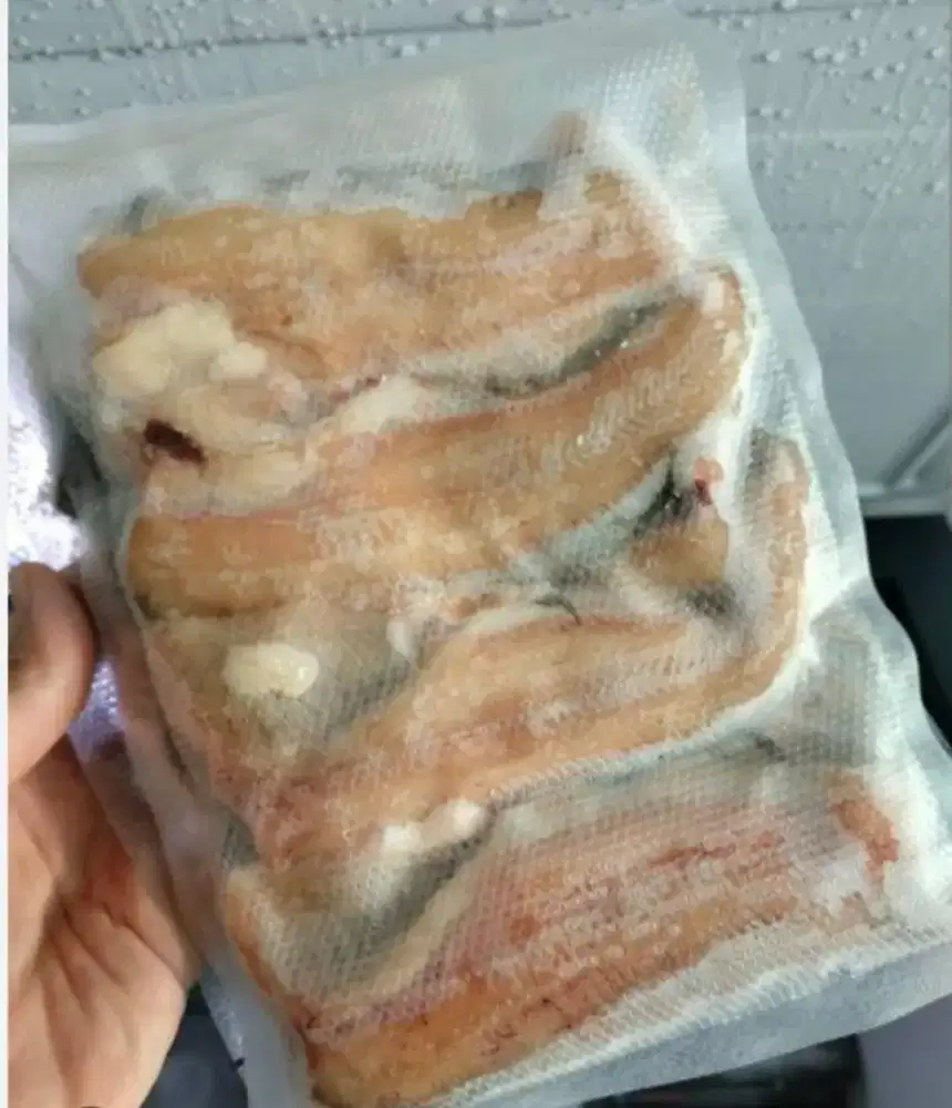 Jual ikan lele pilet siap kirim yg butuh banyak yg minat WA ajah