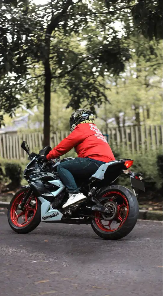 NINJA 250 RR MONO/SL
