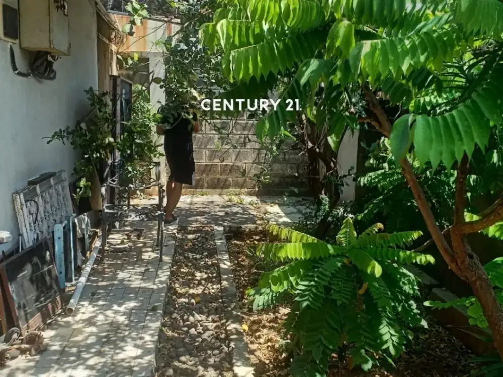 Dijual Rumah 1 Lantai Perlu Direnovasi Di Puloasem Utara Jakar