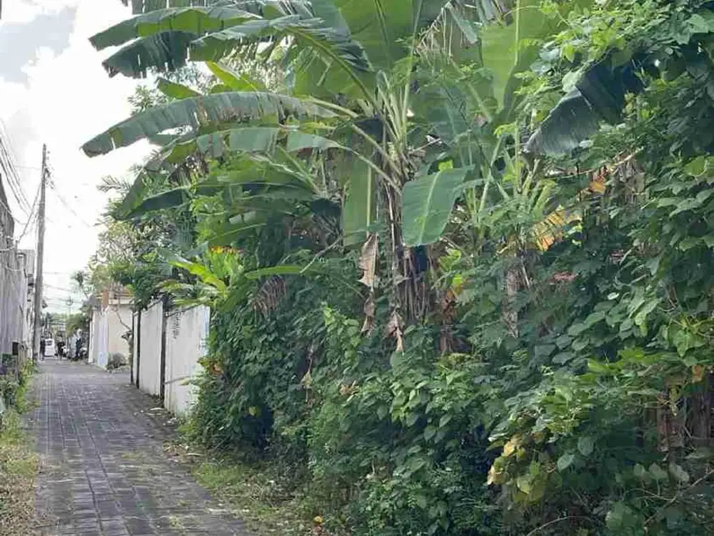 DIJUAL / FREEHOLD : Tanah Kecil Premium, 3,15 Are, Jl. Pantai Batu Belig Badung, Bali