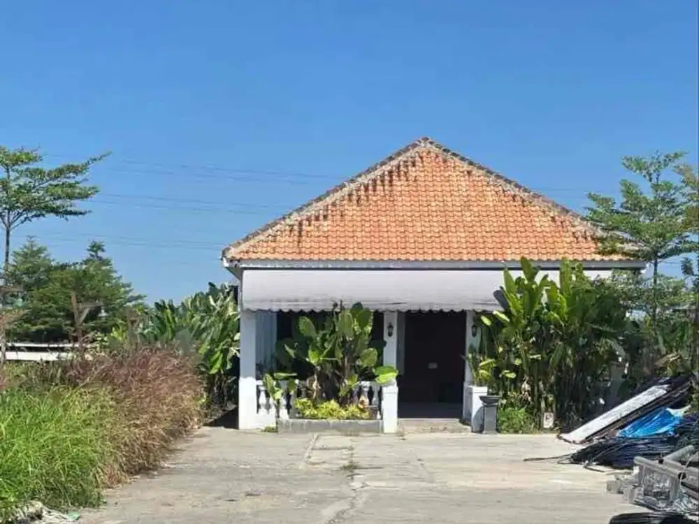 Tempat usaha coffee shop/ resto