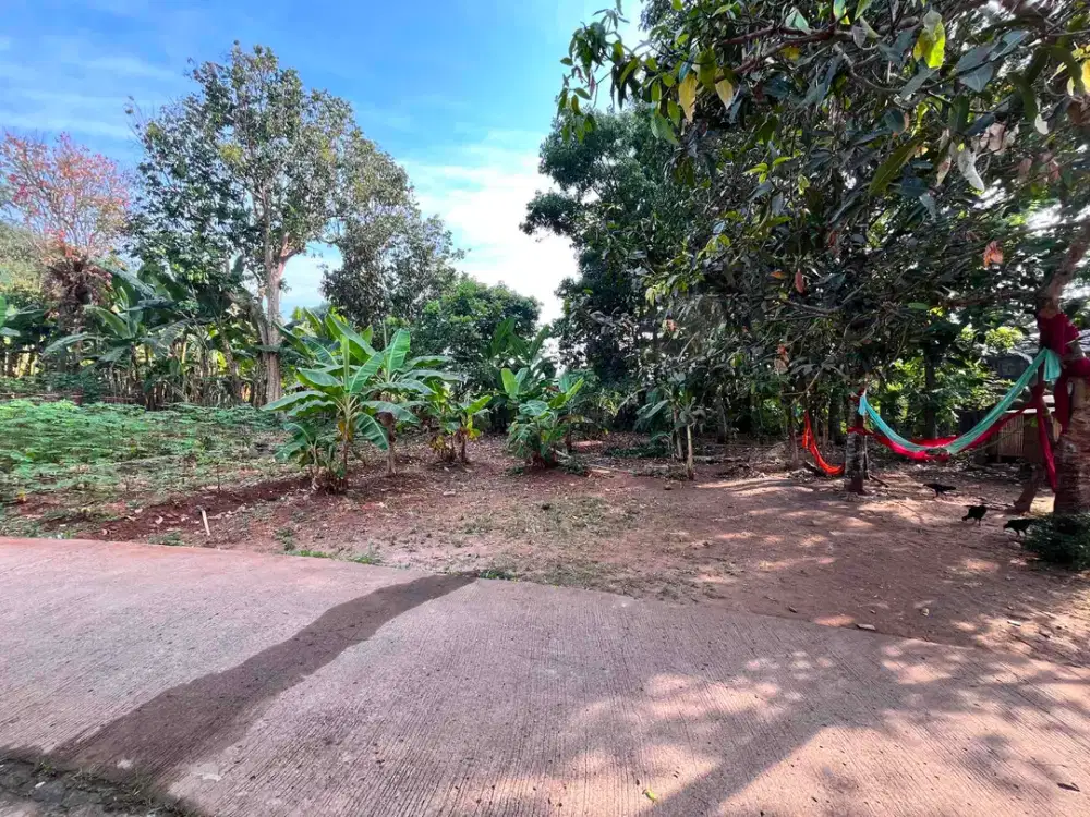 TANAH MURAH DAN STRATEGIS DI DESA CIBINONG GUNUNG SINDUR BOGOR