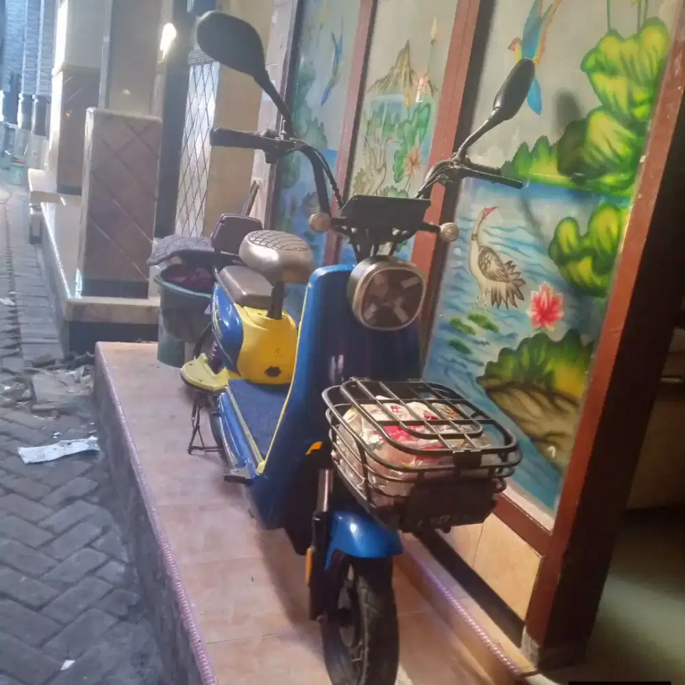 Dijual sepeda exotic