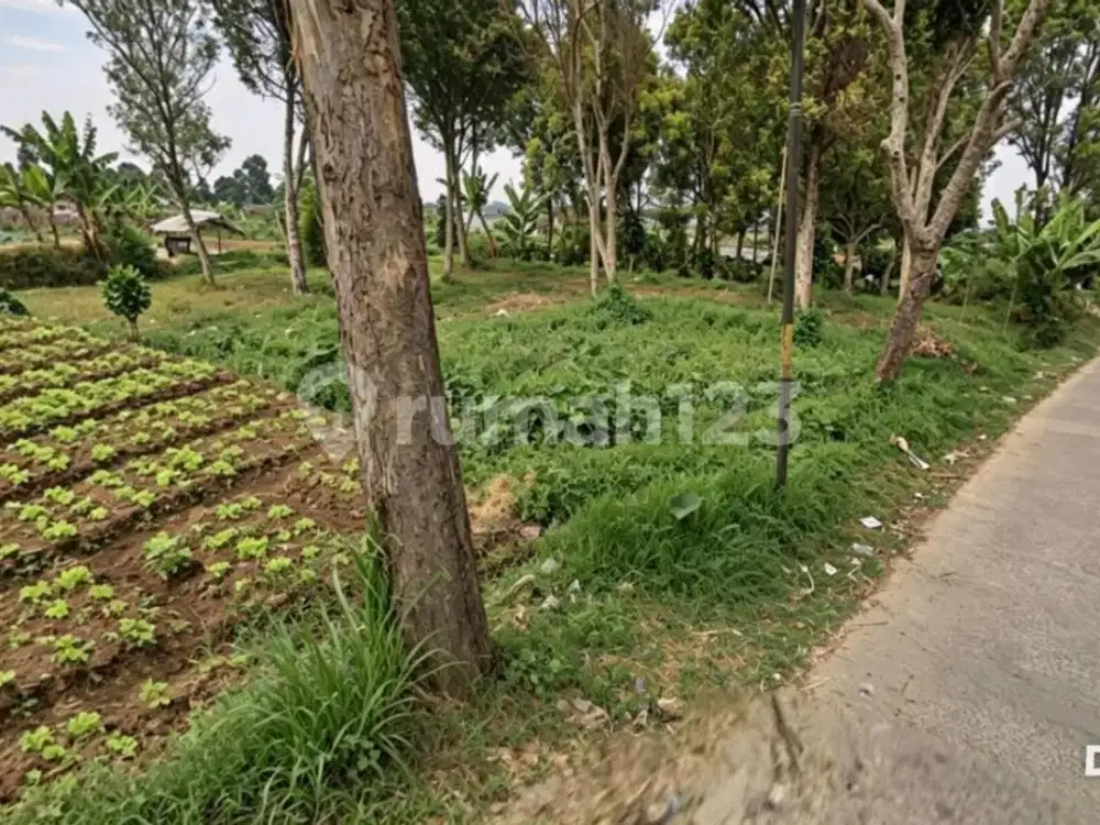 Tanah Murah Kebon Hui Cigugur Girang Parongpong Bandung Barat.