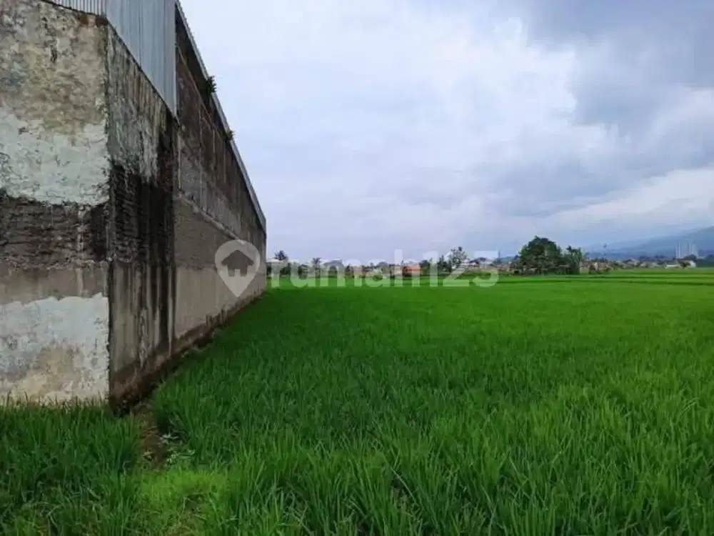 Tanah Sawah Hanya 4 KM Dari Tol Cileunyi Bandung