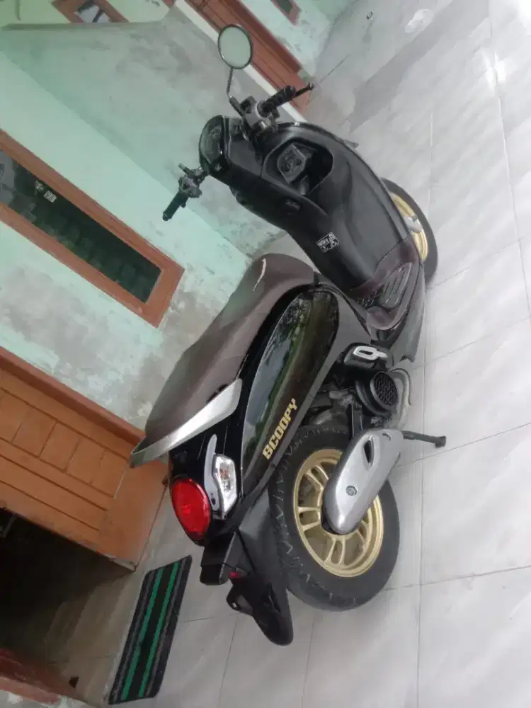 scoopy fashion 2026