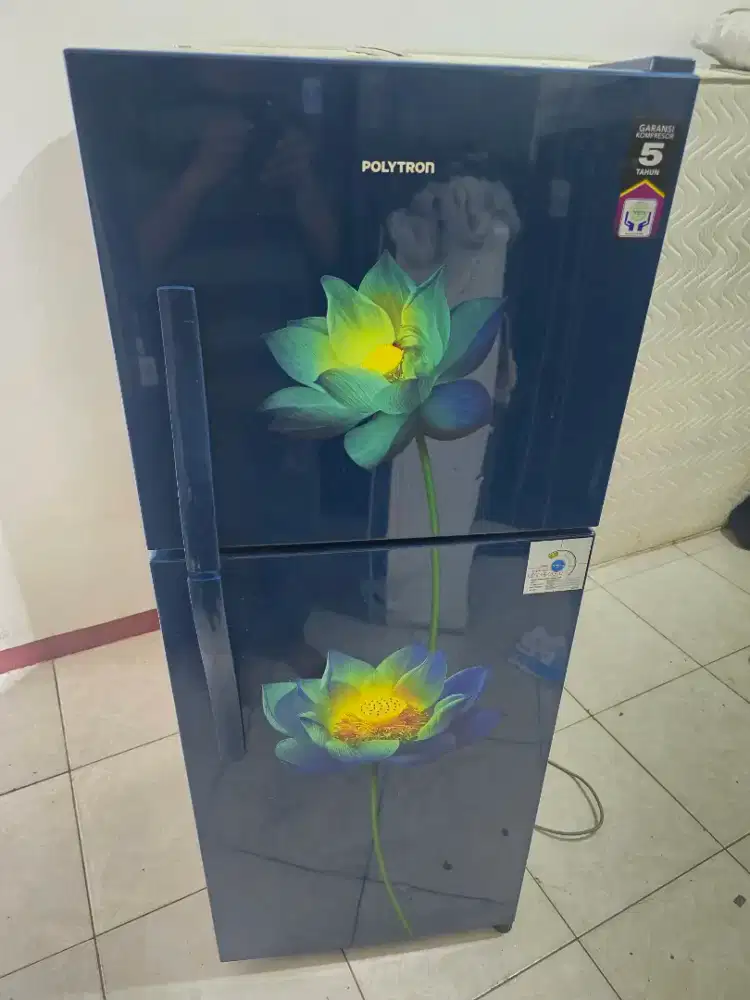 kulkas 2 pintu polytron