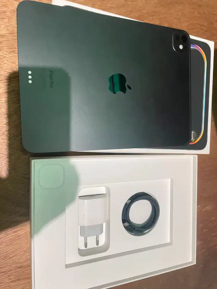Ipad Pro M4 11 Inch BH 100% PA/A