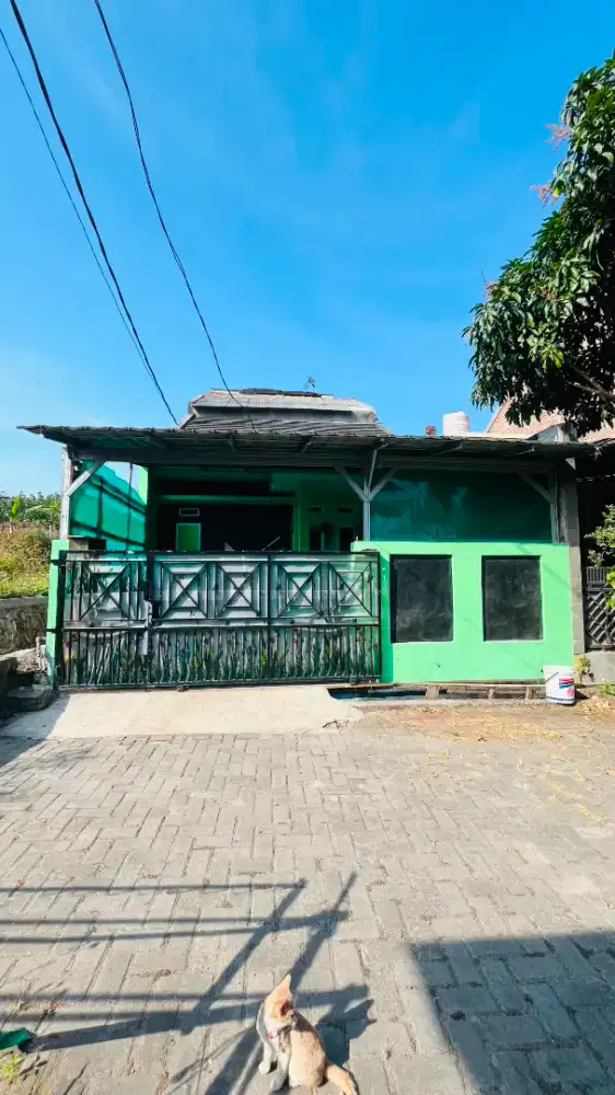 Rumah Dijual/Dikontrakan