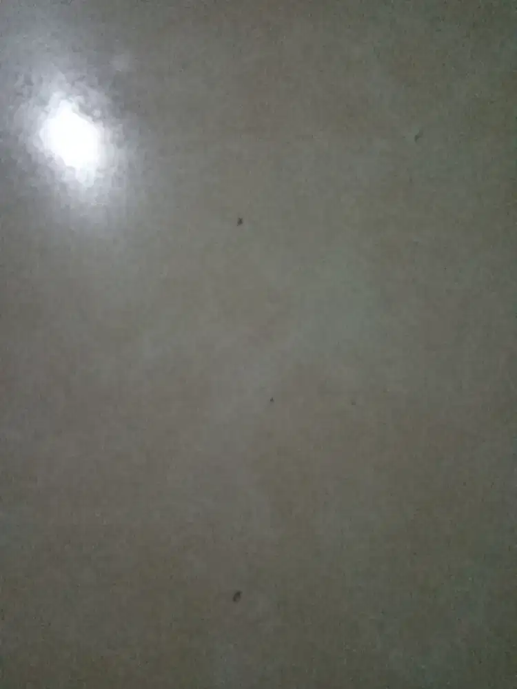 Cari kerja apa saja yg penting halal