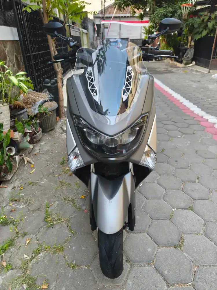 N Max  OlD Grey 2017