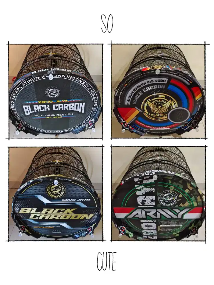 Kandang murai Ebod jaya platinum baru decal PVC tebok ceper 1.2 JT