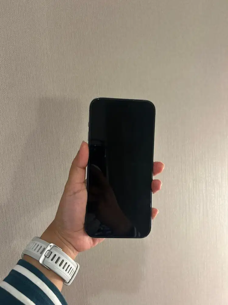 Iphone Pro Max 128G Mulus Ori iBox