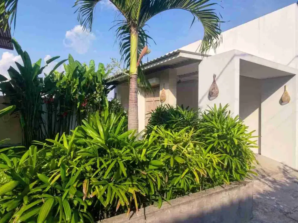 Villa Baru 200m dari Pantai 2 lt, Semi-Furnished hanya 20m dari jalan utama milik sendiri - Thumbnail 2