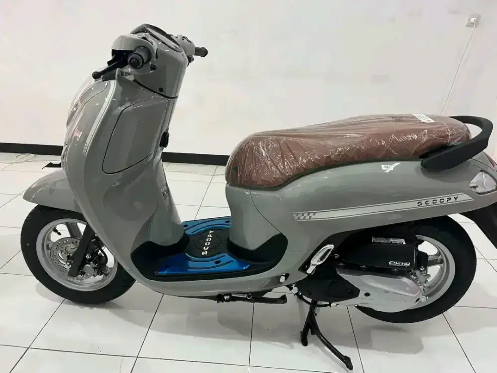 HONDA SCOOPY STYLISH