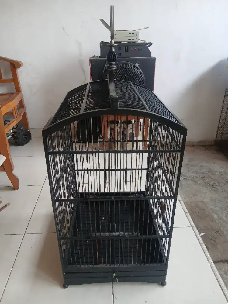 jual sangkar burung