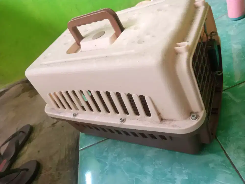 Diual keranjang kucing