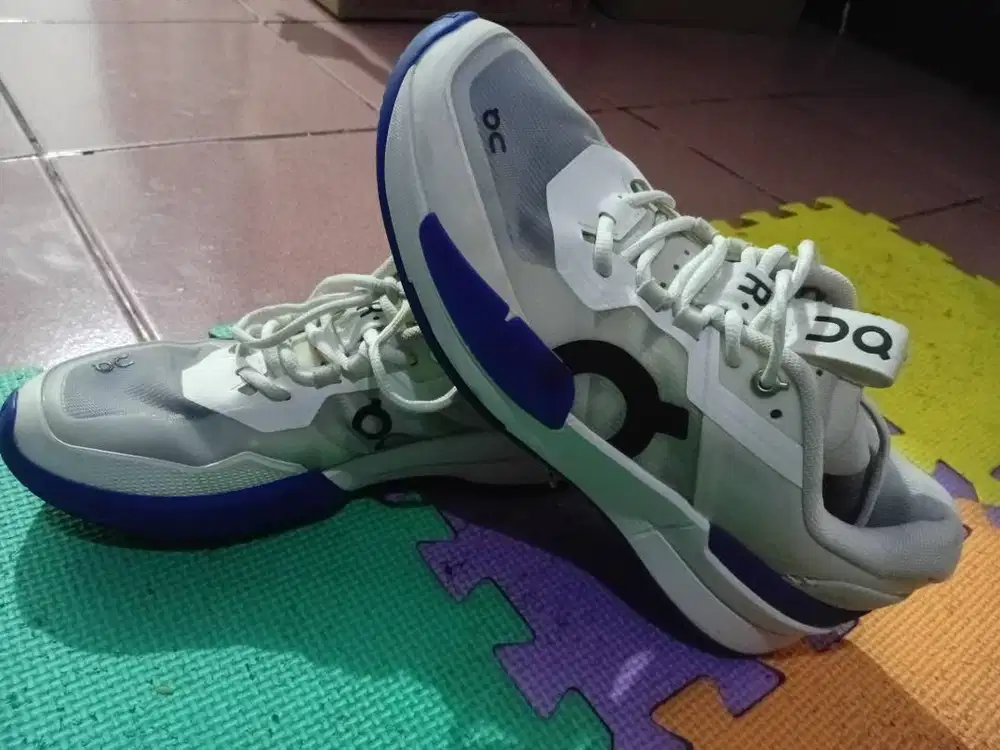 On cloud roger pro 2 (original) size 41