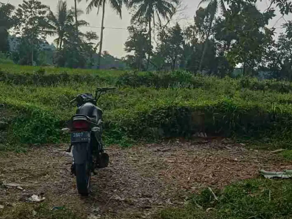 Kebun murah 336 m2 Ciater Subang
