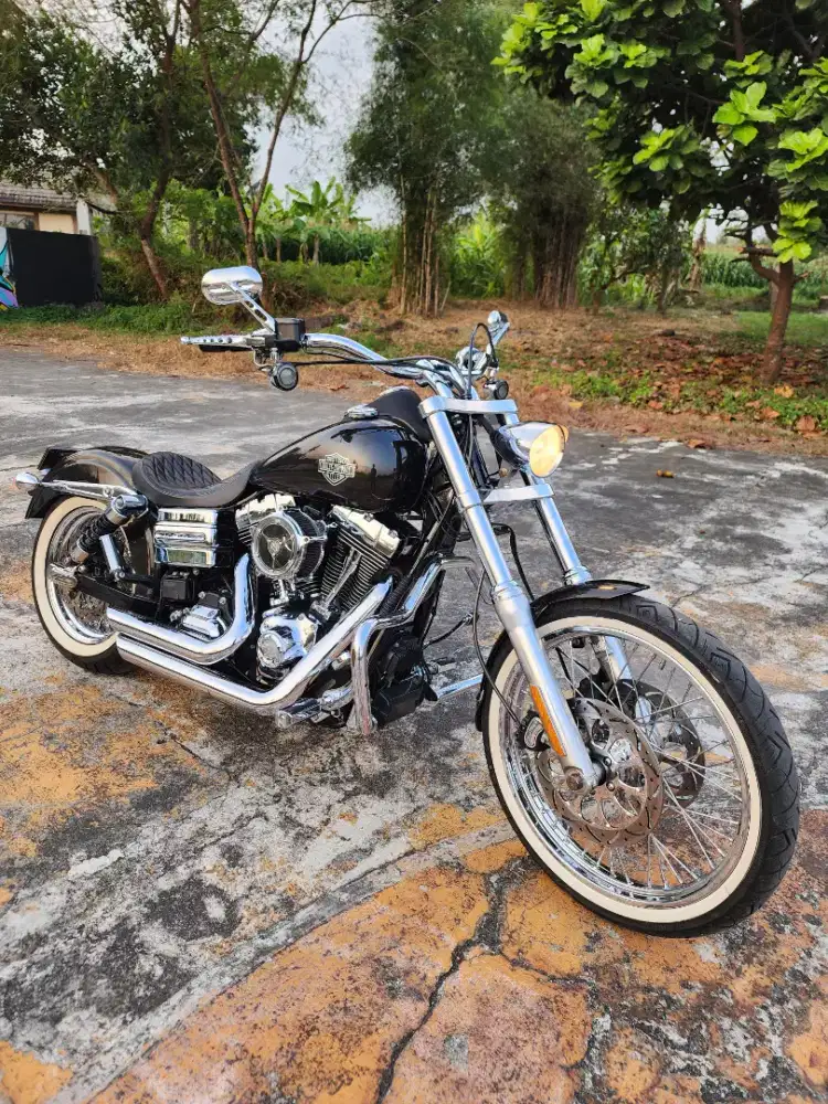 Harley davidson Dyna low rider