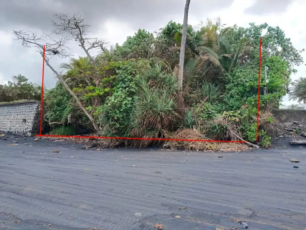 Oceanfront Land for Sale 2,400 sqm in Pasut, Tabanan – Premium Investment with Direct Beach Frontage