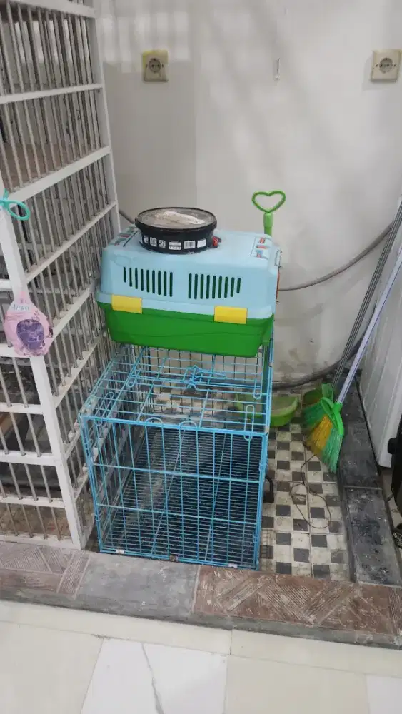 Meja makan , sofa dan kandang kucing
