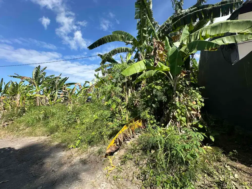 Tanah View Sawah Dekat Komune Resort dan Pantai Keramas