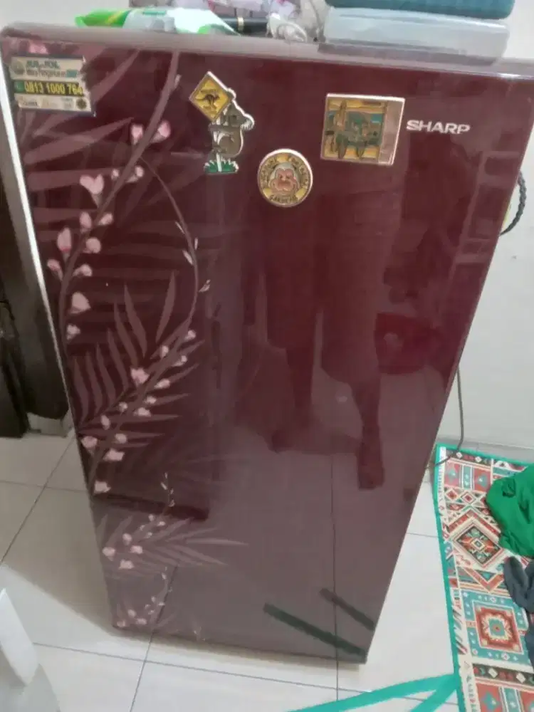 Kulkas sharp 1 pintu