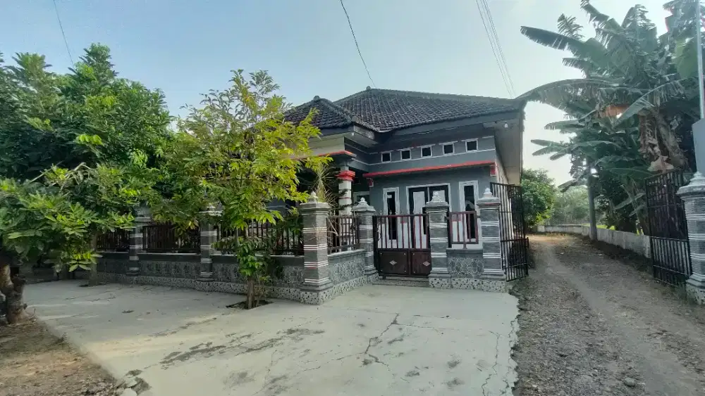 Dijual cepat rumah dan tanah luas