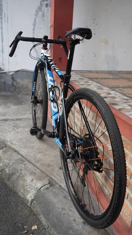Sepeda Gravel Giant XTC 29er