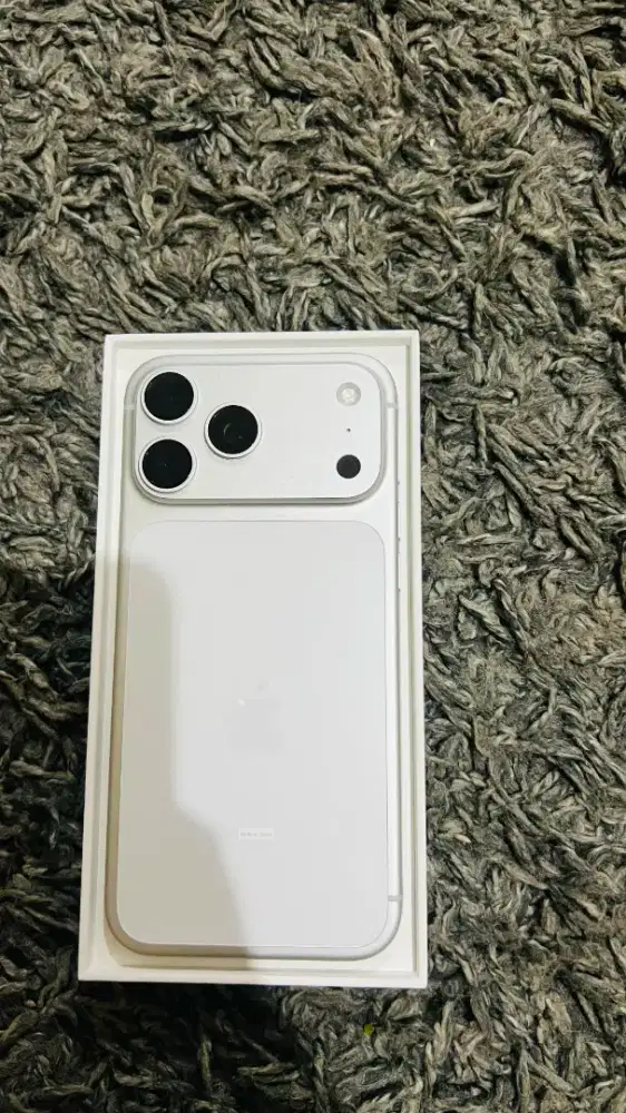 Ip 17 Promax 256Gb