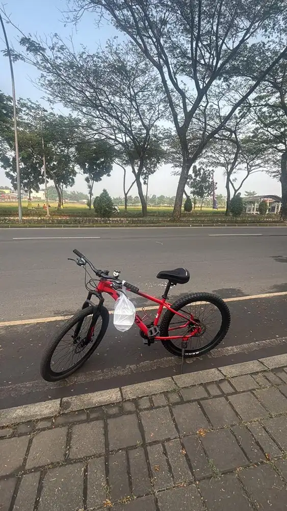 Jual sepeda mtb genio salzburg