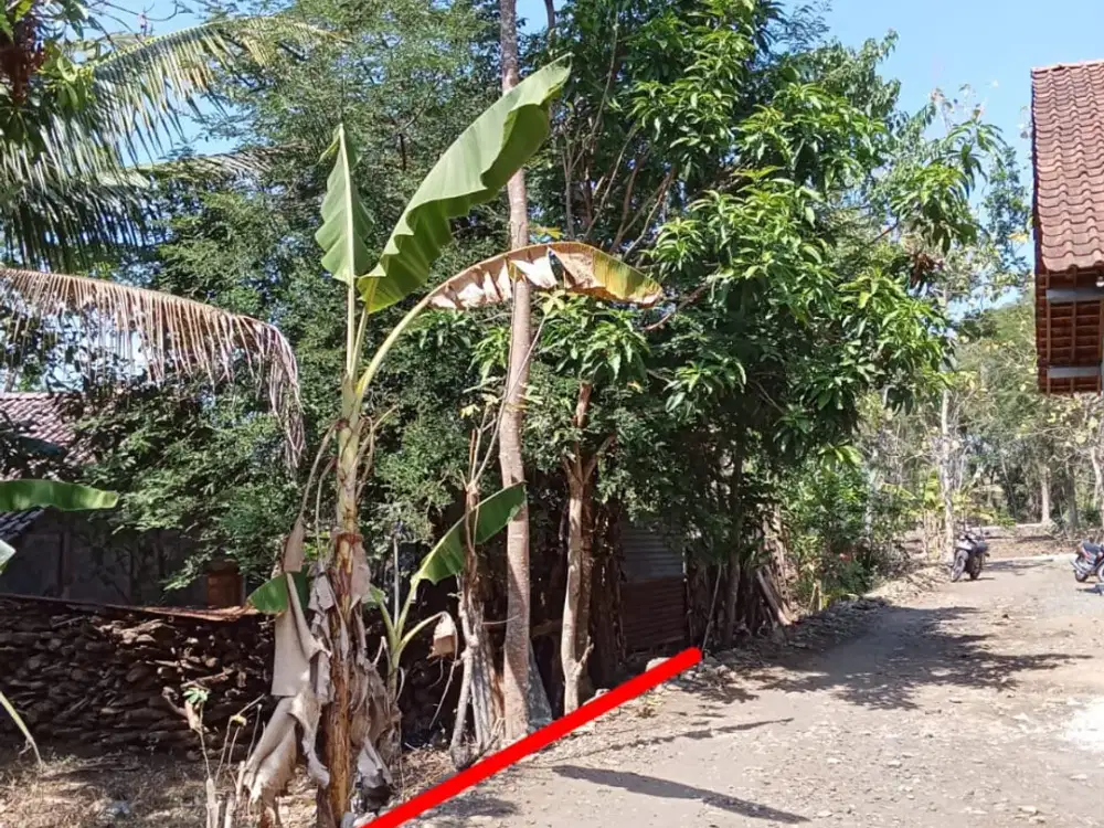 Tanah Pekarangan Murah di Pajangan Bantul#Kode : TP 063
