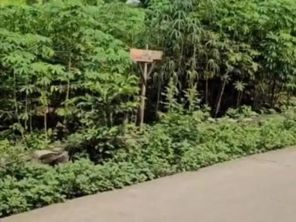 Tanah Karawang Barat Teluk Jambe Desa Purwadana Kampung Bobojong 900m2