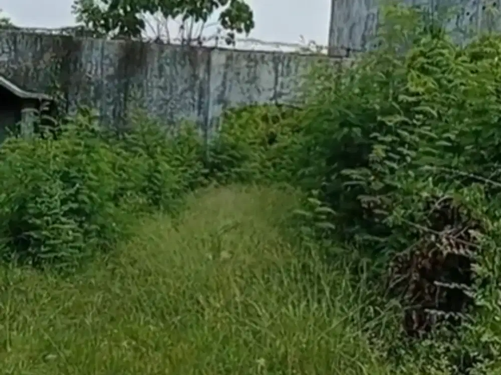 Tanah Strategis Karawang! Dekat Jalan Raya Bisa Nego