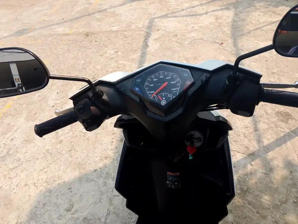 Ayam boiler konsumsi