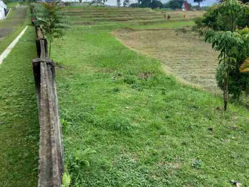 tanah murah megamendung