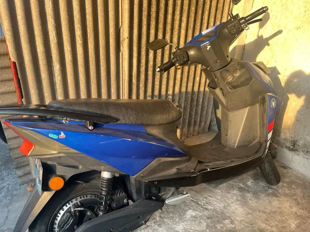 Molis volta 401 tahun 2021