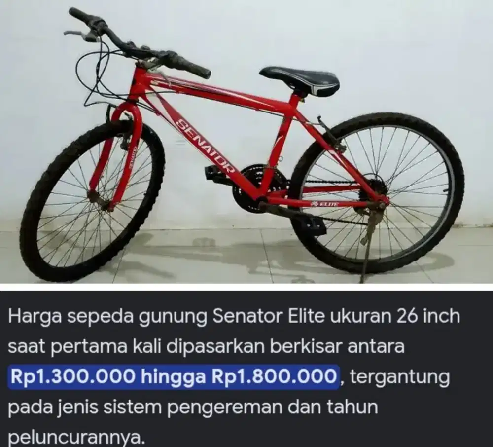 Sepeda SENATOR ELITE