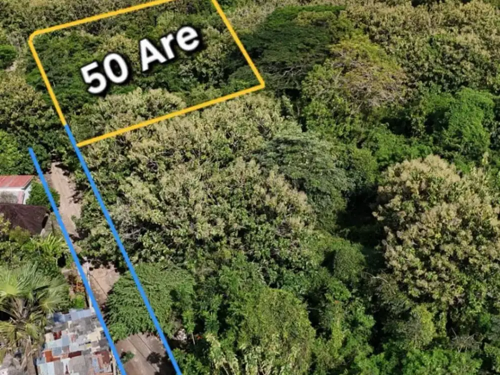 Dijual Lahan Premium 50 Are di Pecatu Bali – SHM, Zona Permukiman