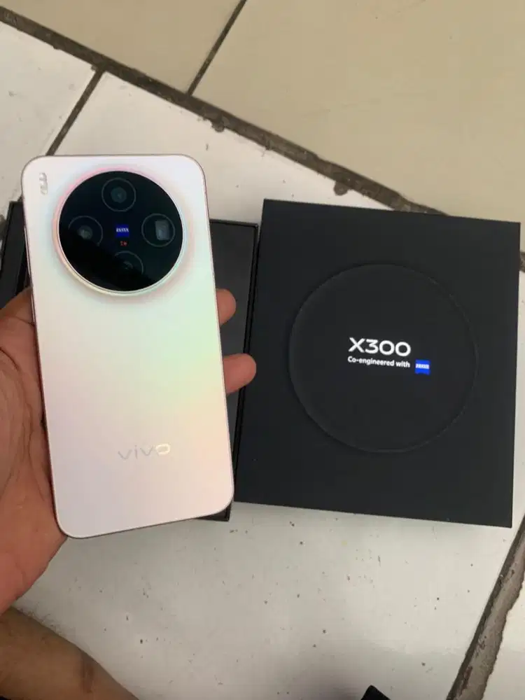 Vivo X300 12/256