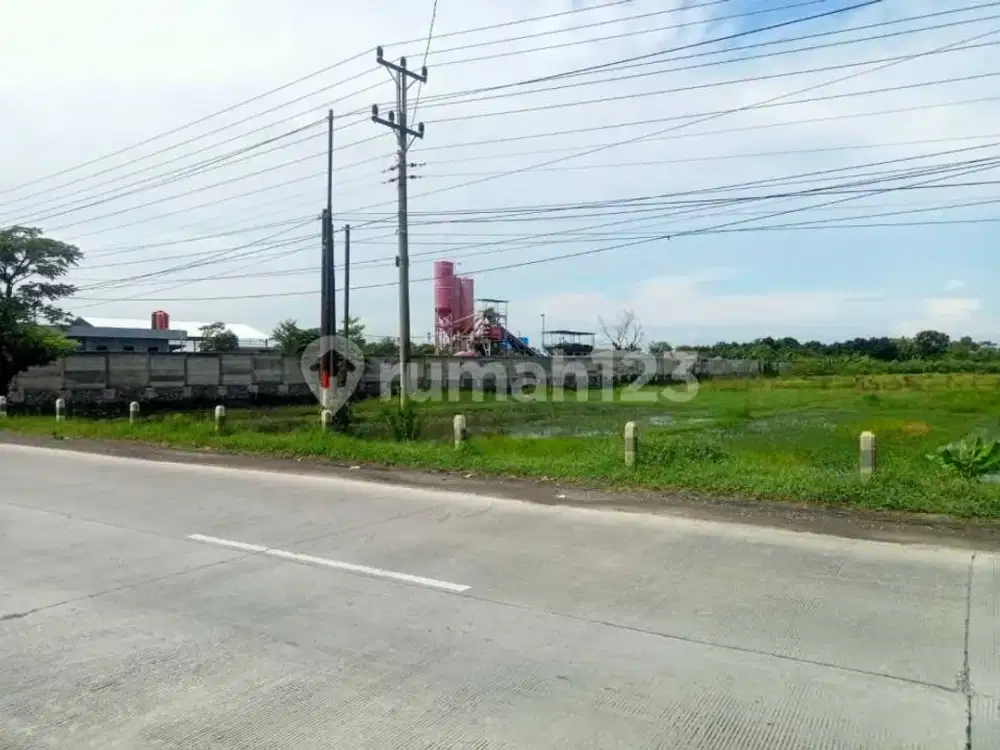 Tanah di Jalur Pantura Tegal Pemalang