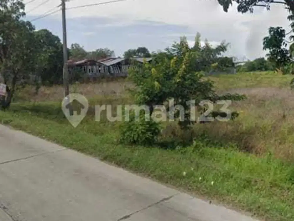 Tanah di Daerah Munjungagung