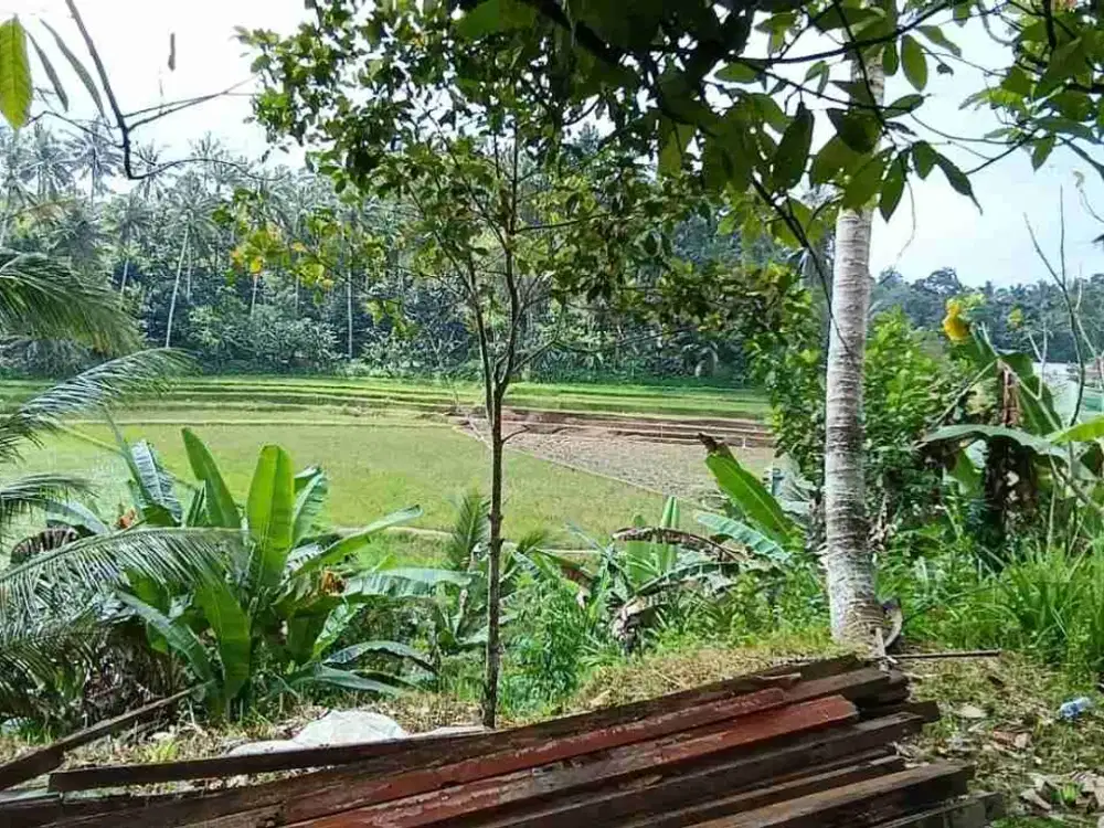 jual tanah kebun view sawah terasering dan gunung cantik di tabanan bali.