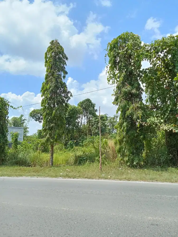 Jual Tanah Dipinggir Jalan