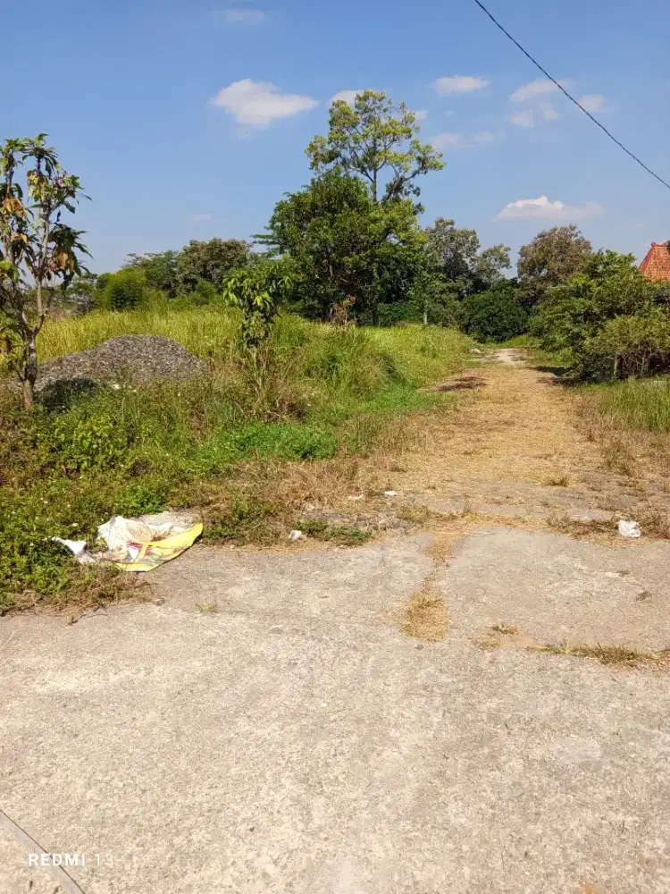 Kapling SHM murah Gunung Pati Semarang 640m² hanya 1,5jt/m²