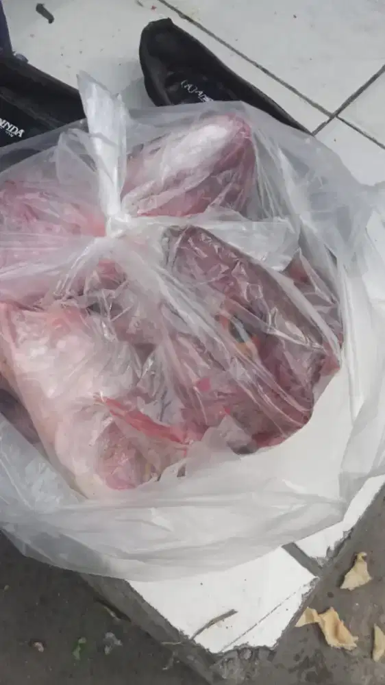 Jual kepala ikan kakap merah