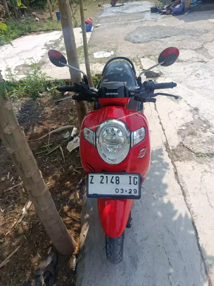 Honda Scoopy 2019