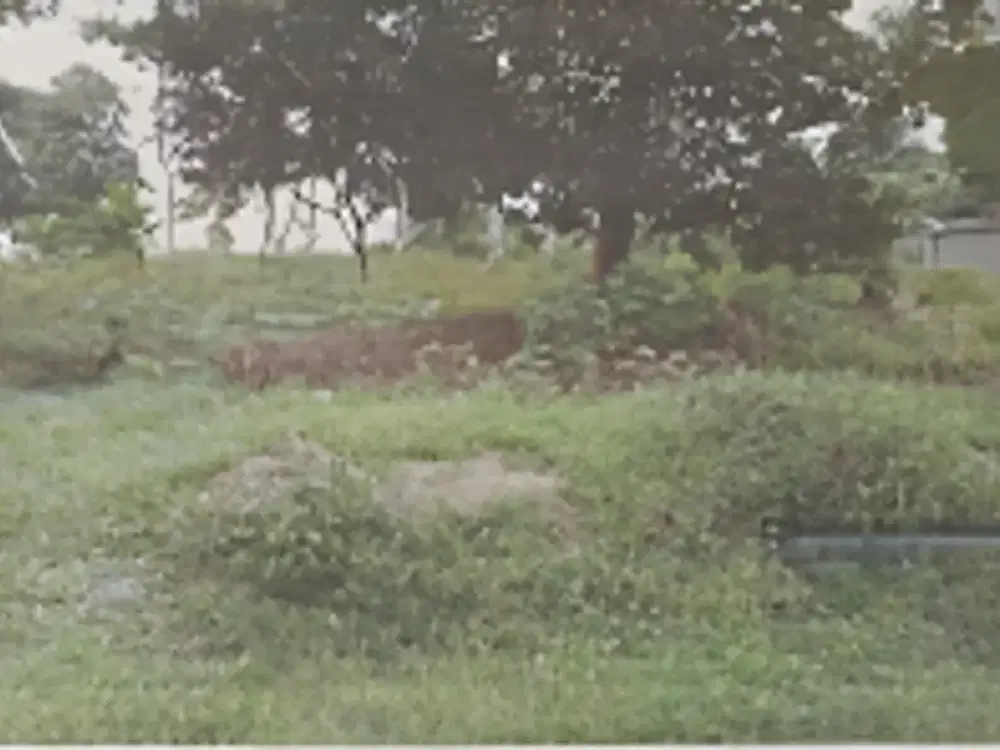 Dijual Tanah di Jl. Raya Bendul Sukatani, Purwakarta Jawa Barat